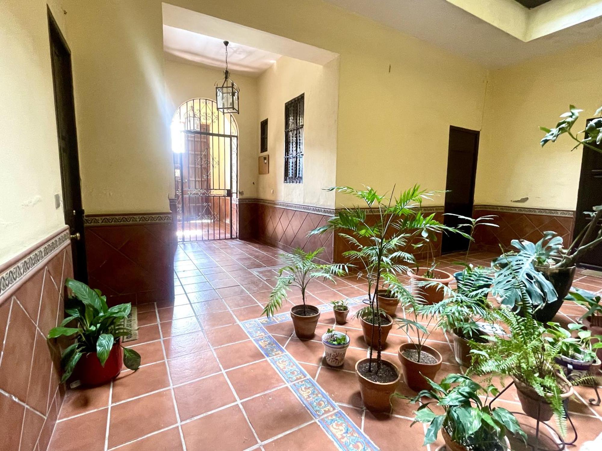 Appartement Eva Recommends Plaza De San Marcos